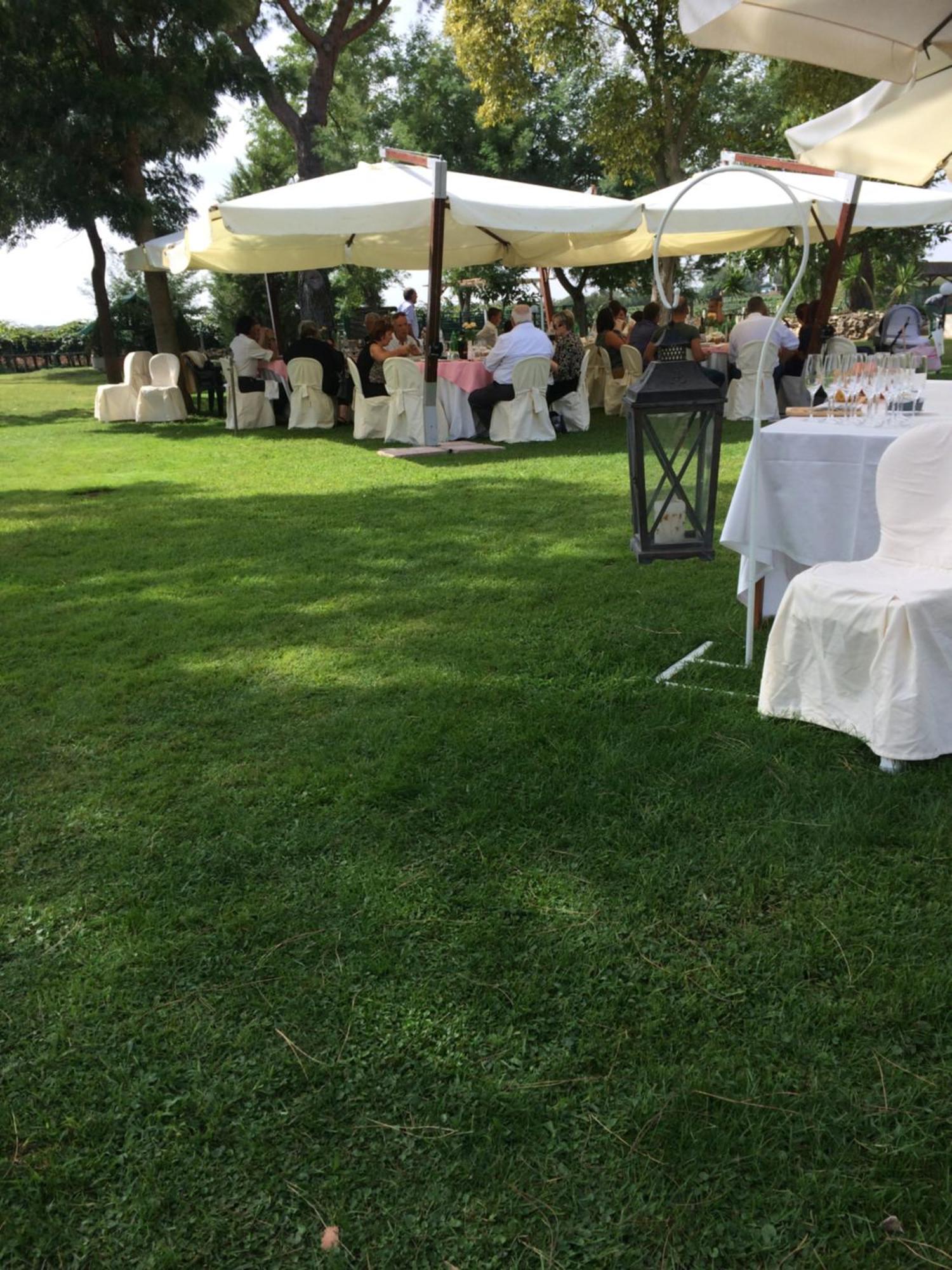Agriturismo Ali E Radici Cisterna di Latina Buitenkant foto